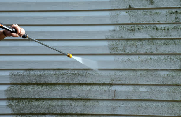 Professional Pressure Washing Services in Whitney, NV